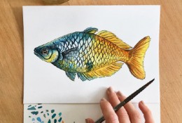 漂亮的海洋小鱼水彩画图片作品 各种好看的小鱼水彩画