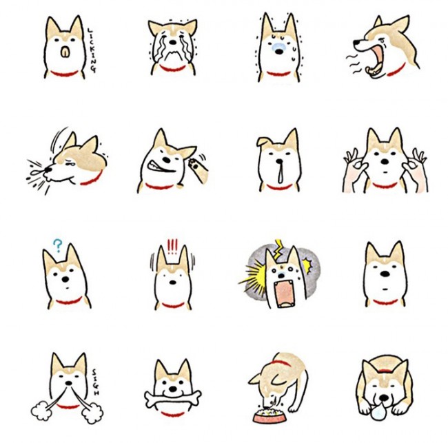 所以有兴趣,闲来无事就拿起笔画出几种狗狗的表情吧.