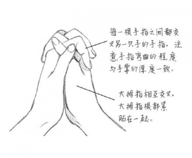 女生十指紧扣和双手合十手部特写和绘画技巧 祈祷姿势