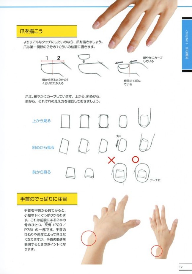 史上最全手部姿势动作分解演示素材和教程3