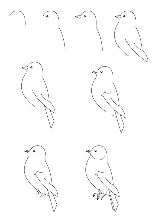 小鸟简笔画的画法小鸟怎么画小鸟的画法