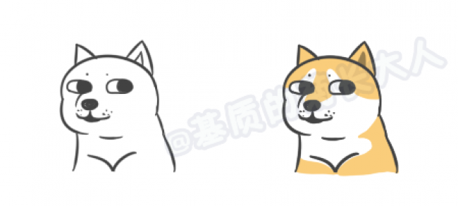 神烦狗柴犬doge卡通画怎么画?简单逗比搞笑的神烦狗简笔画画法(2)