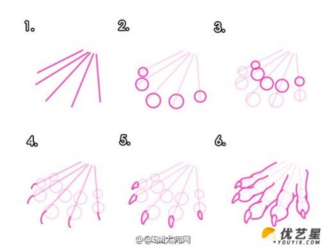 动物的脚,爪子插画绘画技巧 动物脚步各个角度姿势演示结构图片素材