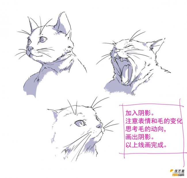 动态可爱的猫咪线稿教程 简单易懂的画猫插画素材 生动大气画法