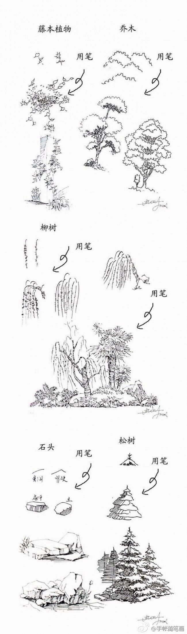 常见植物的线稿简笔画素材带植物名称可以作为景观设计线描手法素材