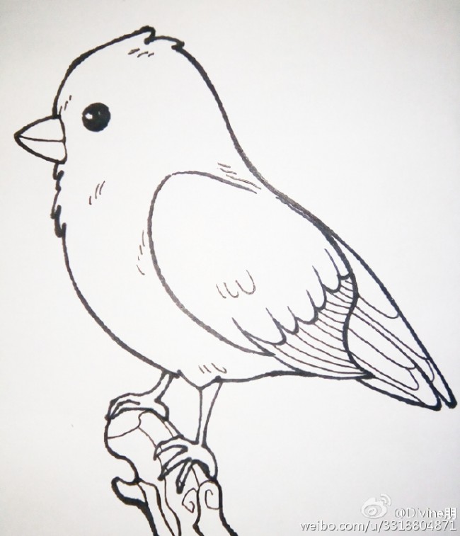 可爱小青雀简笔画教程图片彩色站在树枝上的小鸟简笔画怎么画