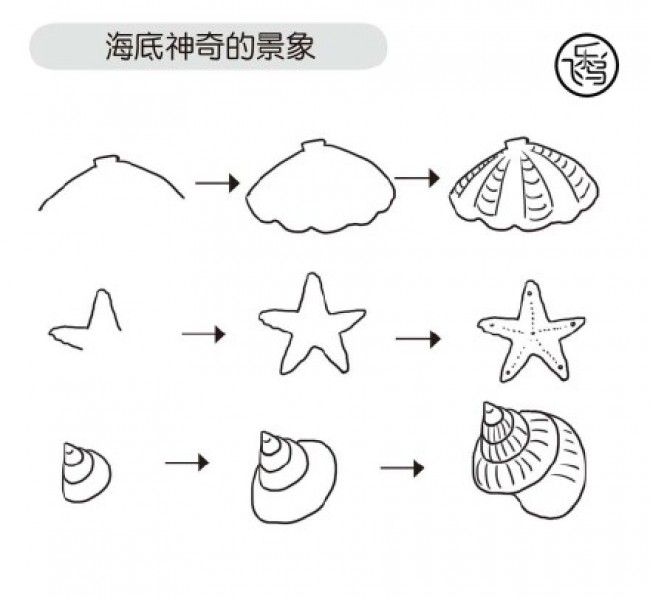 海星和海螺的简笔画教程图片 海底贝壳海星和海螺的画法和怎么画方法