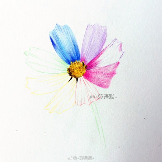 彩铅无彩色花朵上色教程 五色花的手绘画法 漂亮的花朵怎么画