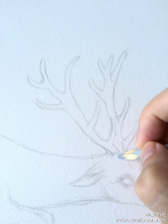 唯美小鹿水彩画手绘上色教程图片演示
