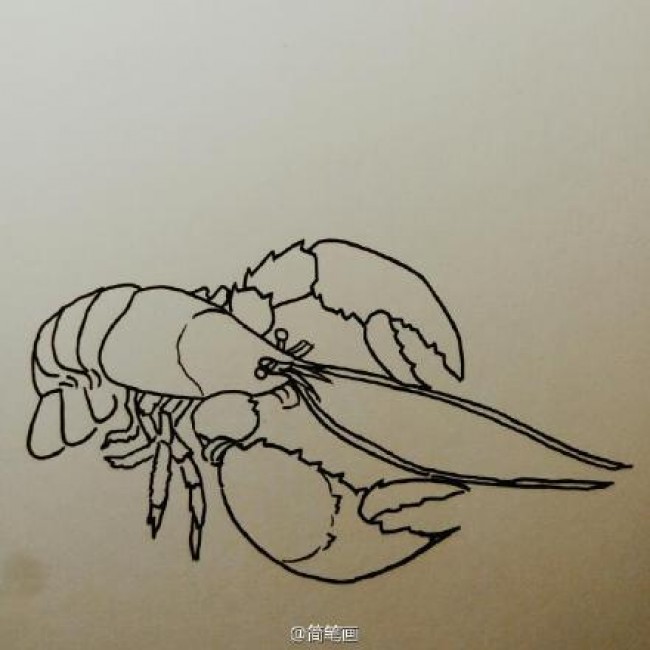 龙虾怎么画 简单的龙虾简笔画画法 小龙虾卡通画画法
