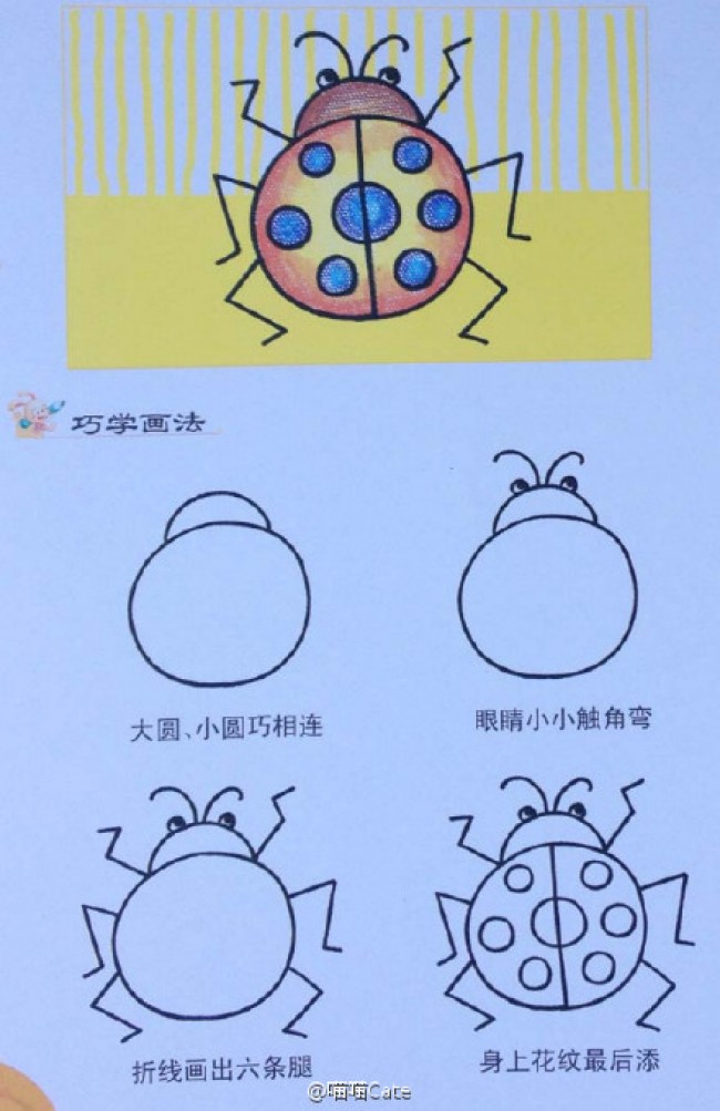 七星瓢虫怎么画可爱的瓢虫简笔画瓢虫卡通画画法2