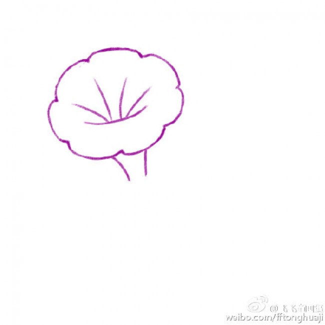 牵牛花怎么画 牵牛花的画法 喇叭花简笔画教程 牵牛花卡通画绘画教程