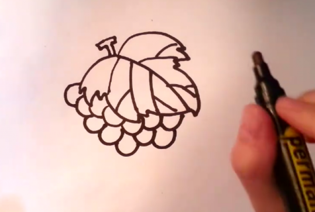 一串葡萄怎么画葡萄的简笔画画法普通儿童画卡通画手绘教程