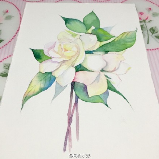 栀子花水彩画手绘教程图片栀子花水彩画的画法栀子花水彩怎么画