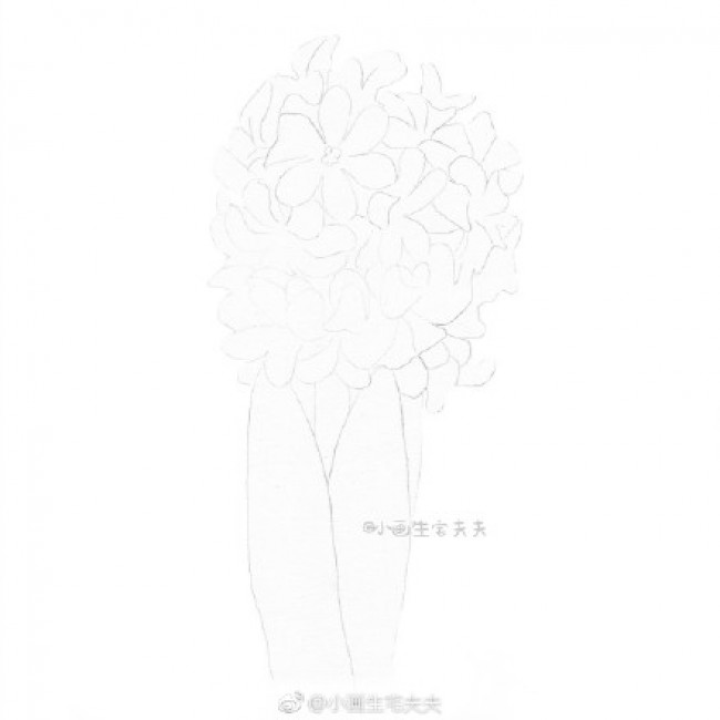 风信子彩铅画手绘教程图片风信子彩铅画画法风信子彩铅怎么画