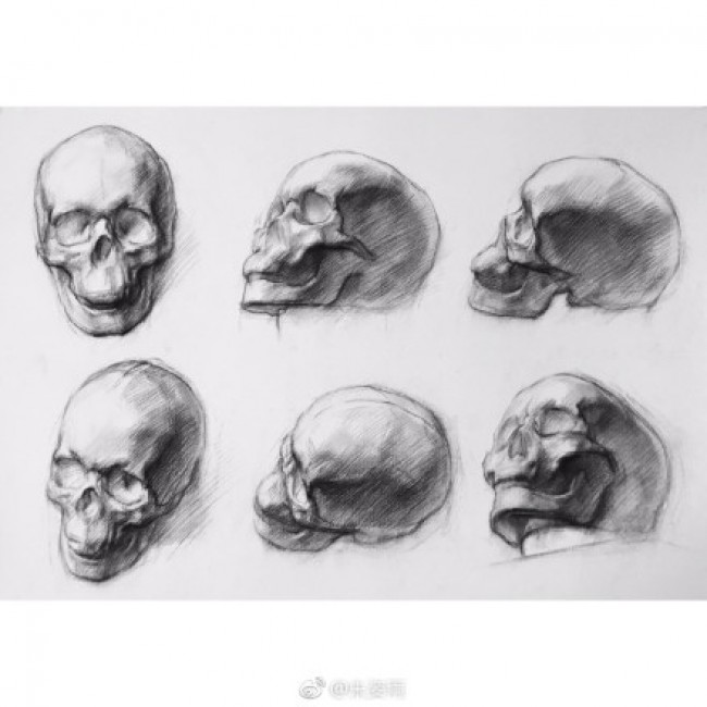 人物头型不同角度骨骼结构剖析展示 骷髅头骨素描画展示头部结构
