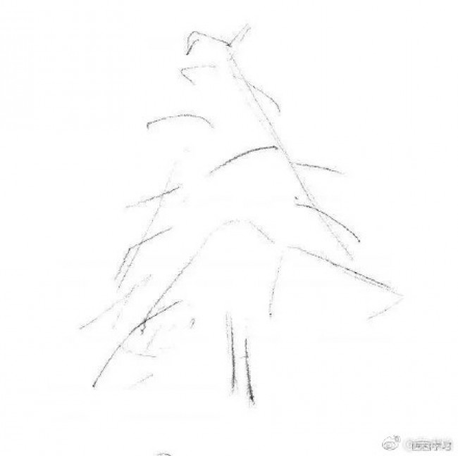 雪松素描手绘画教程图片 雪松树素描怎么画 松树的素描画法