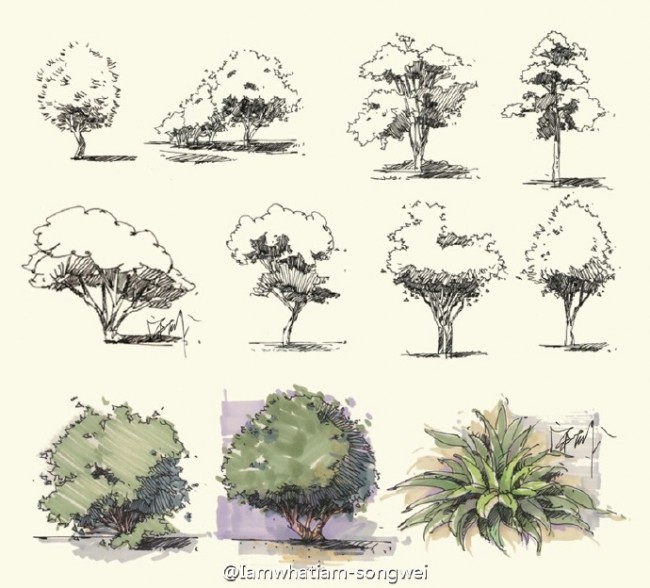 常见植物树木景观马克笔手绘教程图片针管笔签字笔钢笔搭配马克笔景观