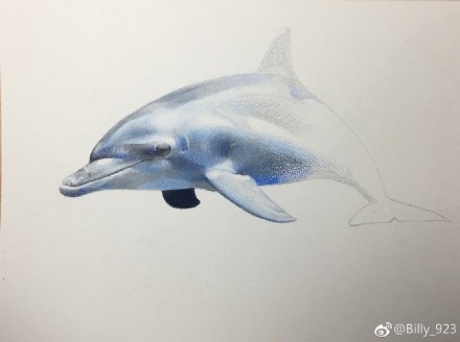 海豚彩铅图片手绘教程 海豚的画法 海豚彩铅怎么画