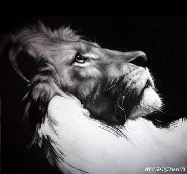 逼真精美的狮子头像素描图片 狮子手绘教程画法 孤独的王者