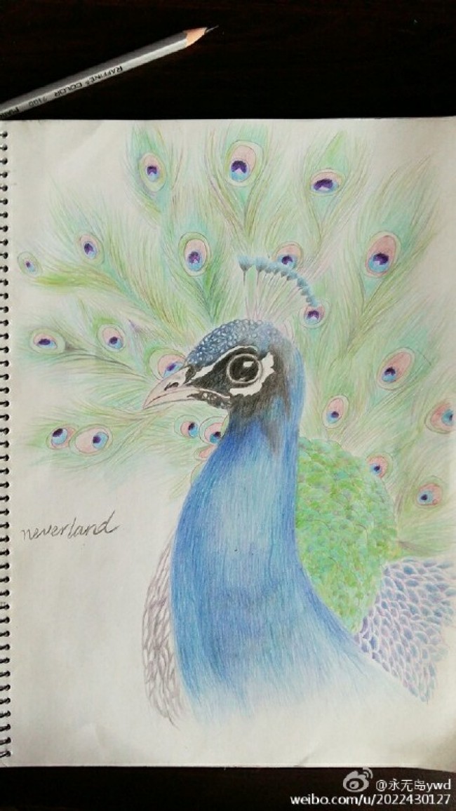 孔雀彩铅画教程孔雀手绘教程图片孔雀怎么画孔雀的画法