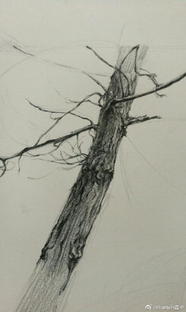一棵枯树素描画图片枯树干素描画手绘教程枯树干怎么画画法