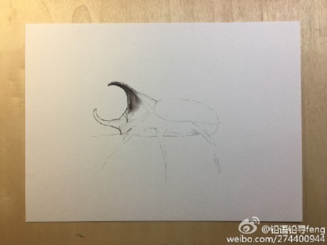 甲虫独角仙彩铅画图片 独角仙彩铅手绘教 独角仙怎么画 独角仙画法