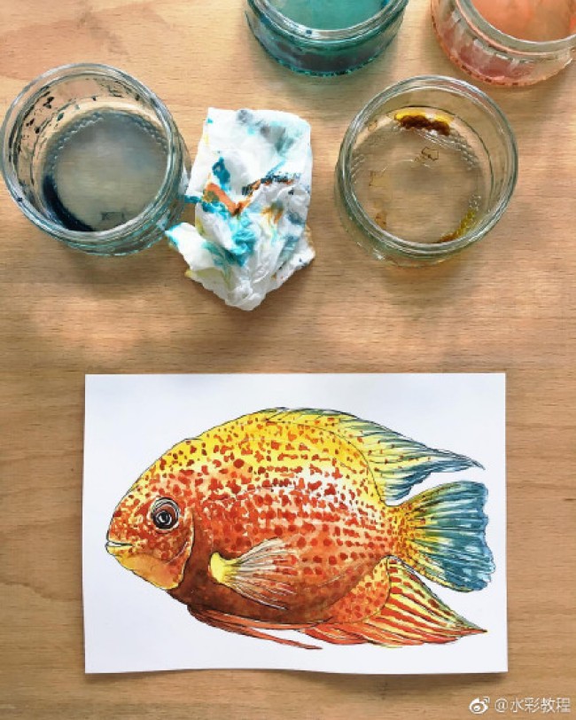 漂亮的海洋小鱼水彩画图片作品 各种好看的小鱼水彩画