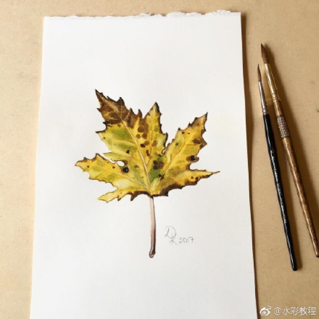 秋叶水彩画图片秋天树叶水彩画手绘教程枫叶落叶水彩画怎么画画法