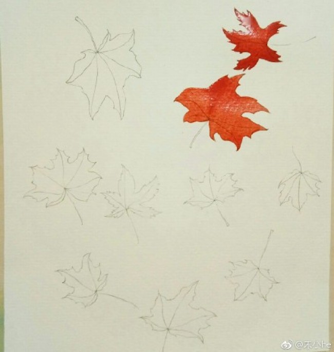 秋叶水彩画图片秋天树叶水彩画手绘教程枫叶落叶水彩画怎么画画法