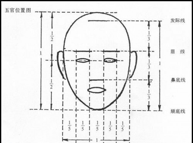 日漫人物角色脸型与脸部结构演示讲解画法图片脸部五官比例结构