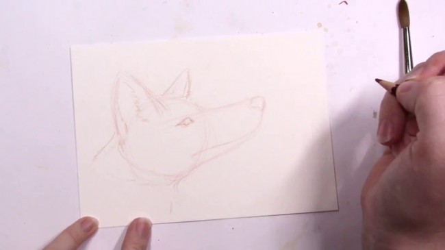 【视频】森林里的小狐狸唯美水彩手绘视频教程 狐狸水彩怎么画