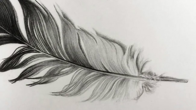视频一根黑色的羽毛素描画手绘视频教程教你画羽毛的铅笔画