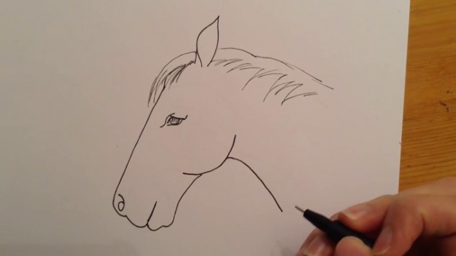 视频简单又实用的马头简笔画手绘视频教程有技巧画的形很准哦