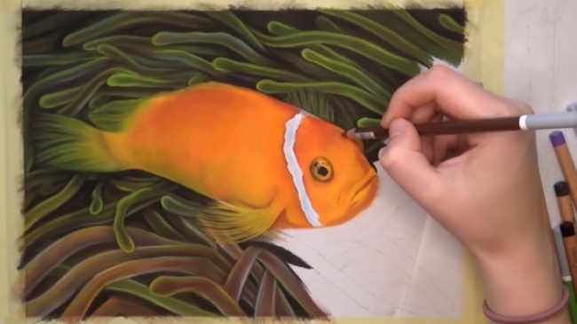 视频写实的小丑鱼彩铅手绘视频教程小丑鱼彩铅画怎么画