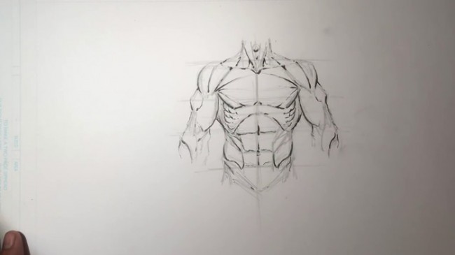 男性胸肌腹肌手臂肌肉简单的男性人物上身肌肉素描展示绘画教程