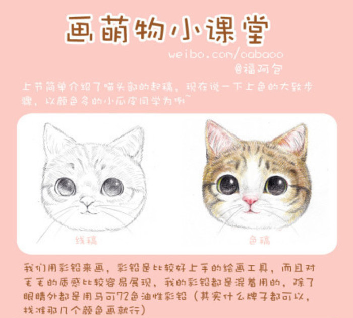 猫咪毛发绘画上色步骤和技巧讲解 精美细腻的猫咪头部