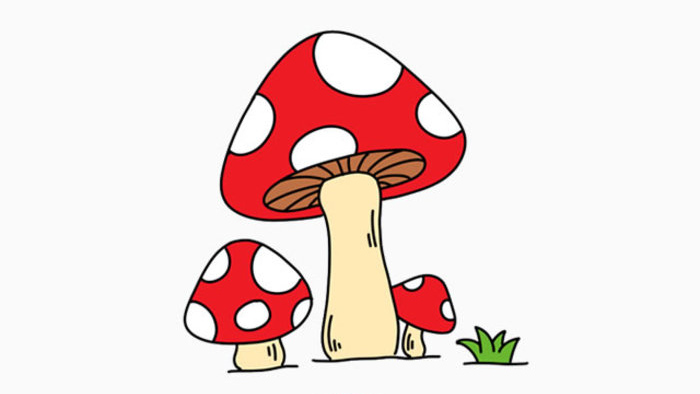 可爱的小蘑菇怎么画?立体逼真的蘑菇简笔画画法 蘑菇