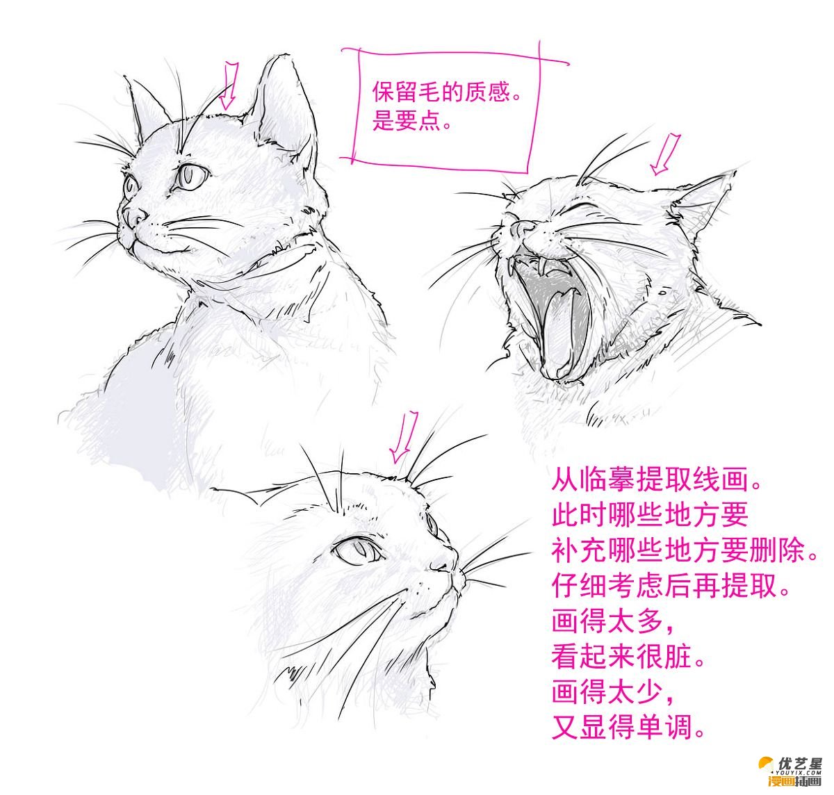 动态可爱的猫咪线稿教程 简单易懂的画猫插画素材 生动大气画法