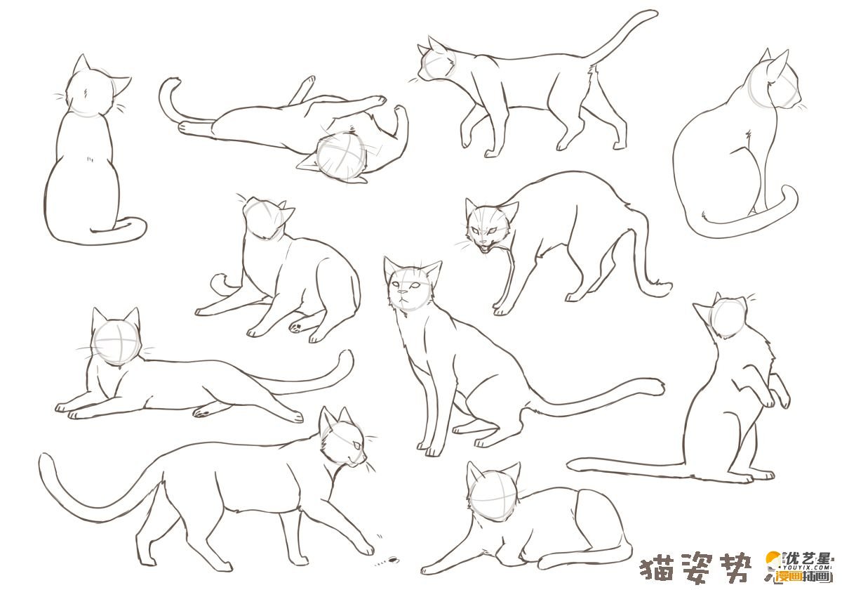 具体的猫咪和狗从五官到姿势详细教程 猫和狗的各种姿势动作区别画法