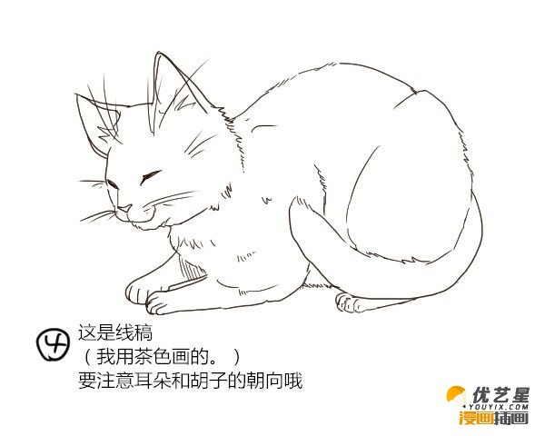 静态的猫咪插画教程 怎么快速画好猫的7步骤 带线稿与