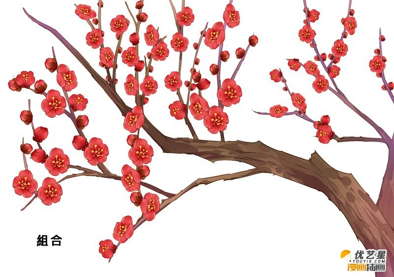 一颗红艳的的寒梅怎么画 带线稿和上色的插画素材 详细的梅花教程