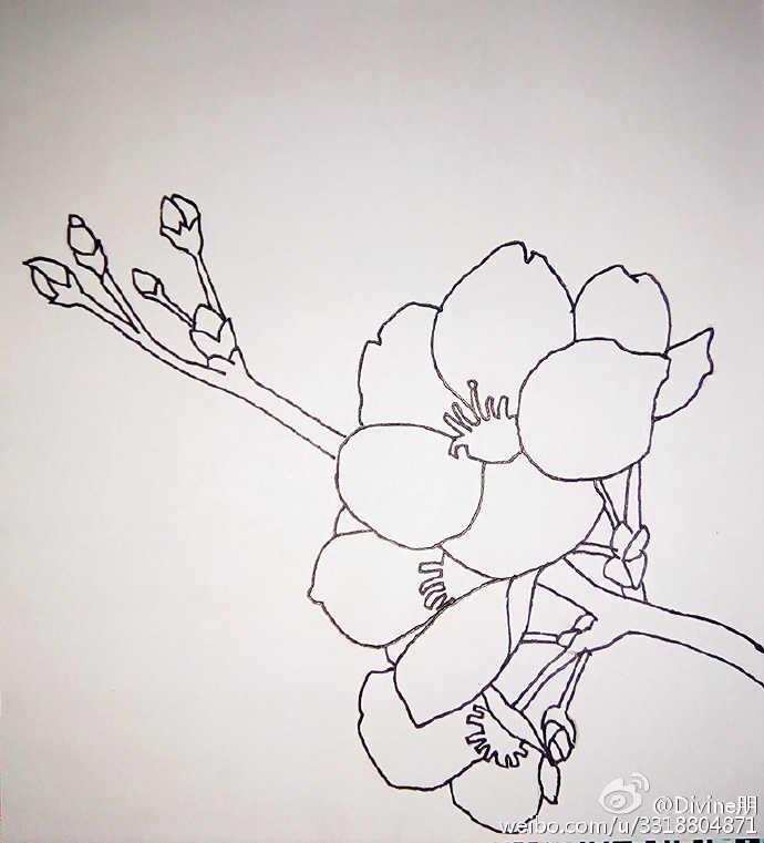桃花简笔画教程图片 水彩上色桃花的画法 好看的桃花怎么画