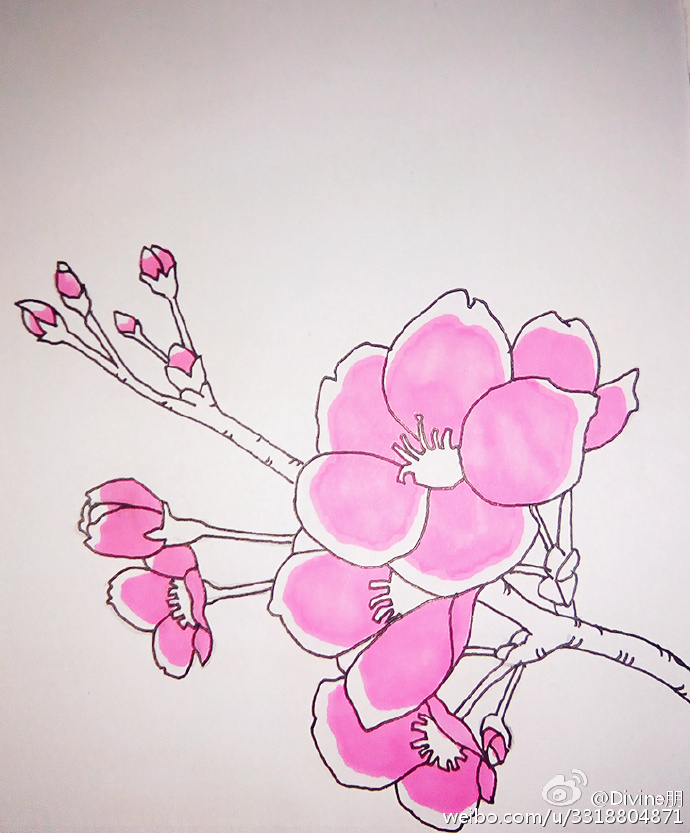 桃花简笔画教程图片水彩上色桃花的画法好看的桃花怎么画