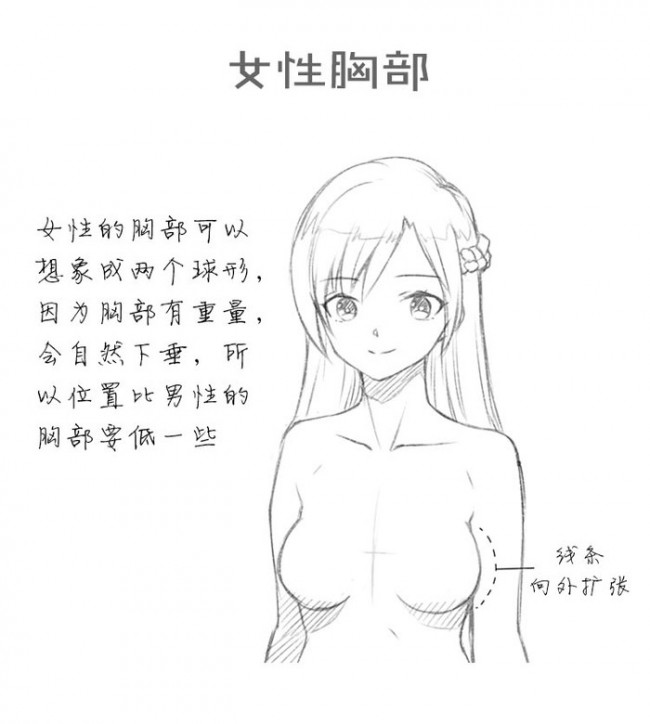 女性胸部怎么画好看女生的胸部画法女人胸部漫画绘画技巧卡通画教程 图片 8p 才艺君