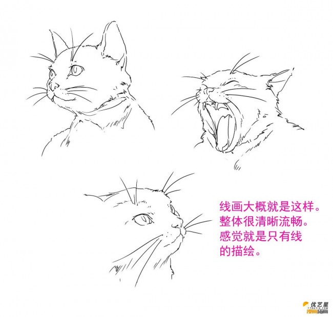 动态可爱的猫咪线稿教程 简单易懂的画猫插画素材 生动大气画法