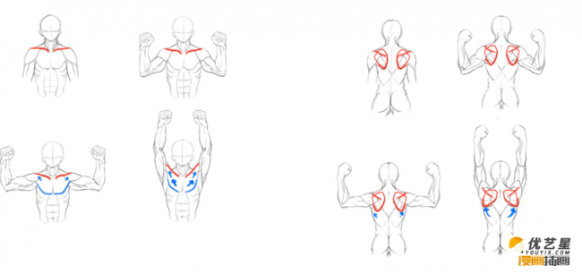 人物的上身肌肉繪畫教程 教你畫各種不同角度的人物動作姿勢