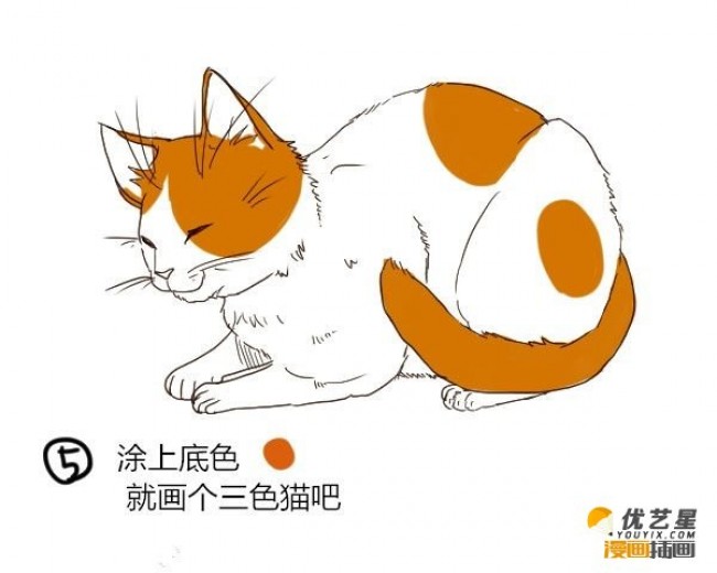 静态的猫咪插画教程 怎么快速画好猫的7步骤 带线稿与上色的教程素材