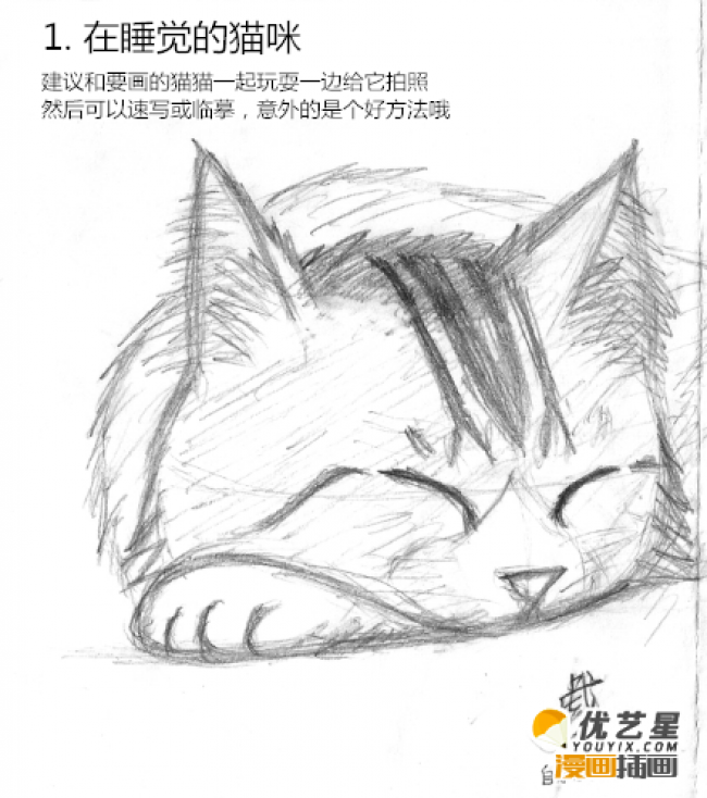 猫的头部绘画教程画猫的头部五官步骤教程猫的头部漫画绘画素材教程 图片 7p 才艺君