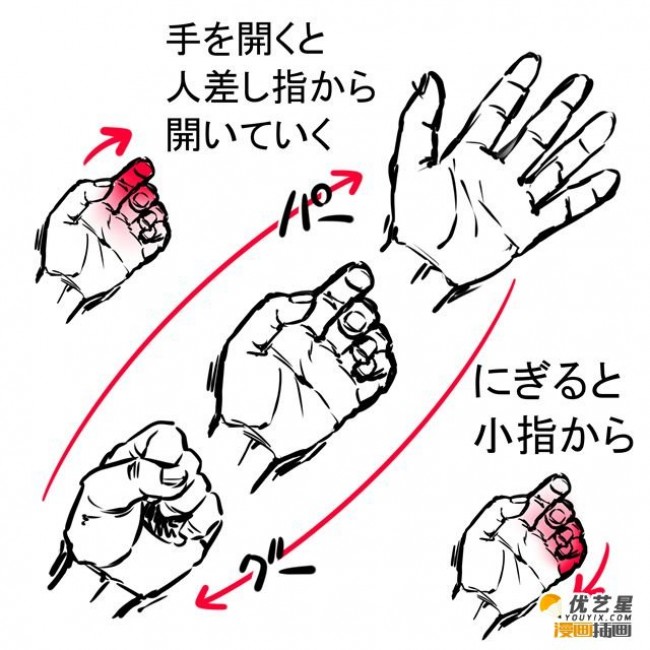 手的不同姿勢簡單畫法步驟 手的伸展和握拳姿勢插畫繪畫步驟教程